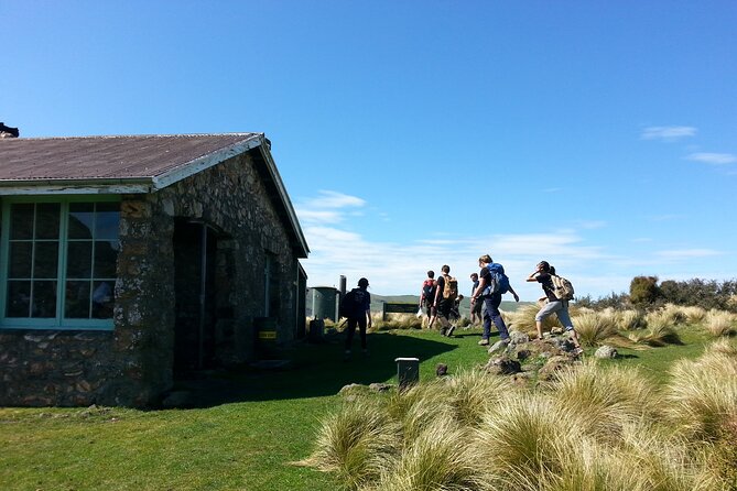 Guided Walk Tour to Packhorse Hut in Lyttelton Shore