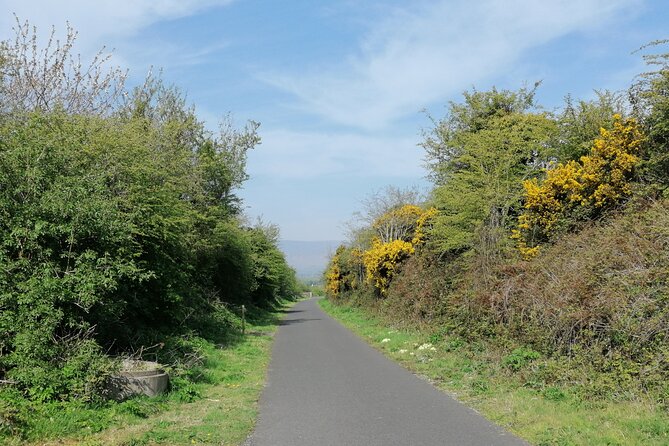 Guided Walking Tour in Stunning County Waterford Ireland