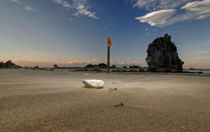 Guided Walking Tour & Scenic Drive Form Christchurch - Lyttelton & Godley Head