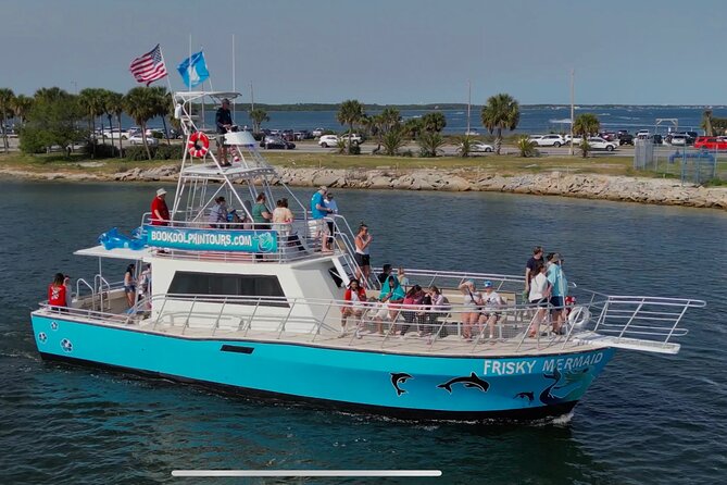 9 Best Dolphin Watching Tours In Pensacola