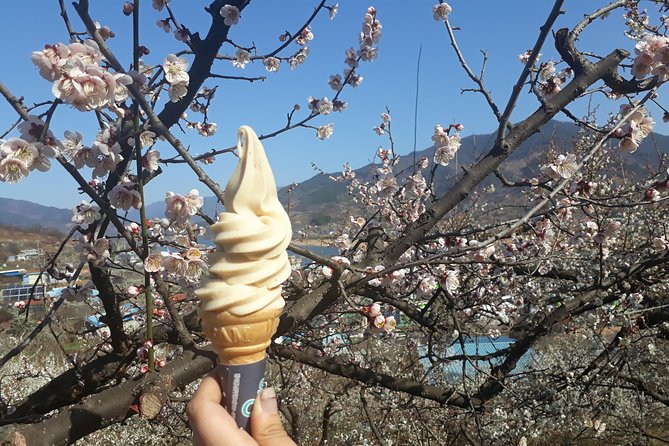 Gwangyang Maewha Flower and Jeonju Hanok Village 1 Day Trip From Seoul - Good To Know