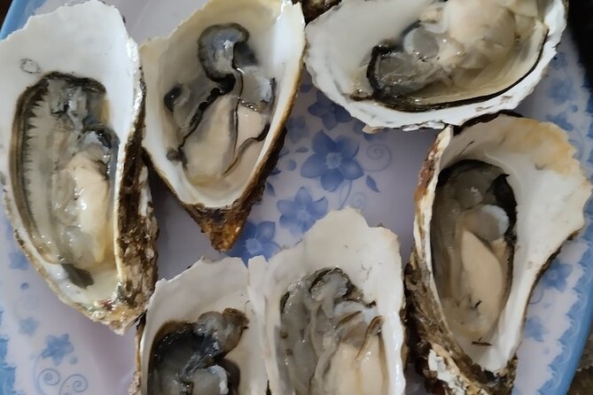 Hai Van Pass-Lang Co Eco Tour by Boat With Oyster Tasting