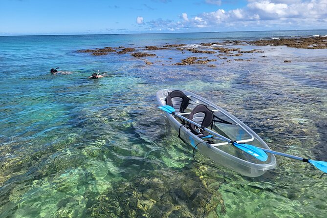 Haleiwa Small-Group Kayak and Snorkel Tour - Oahu