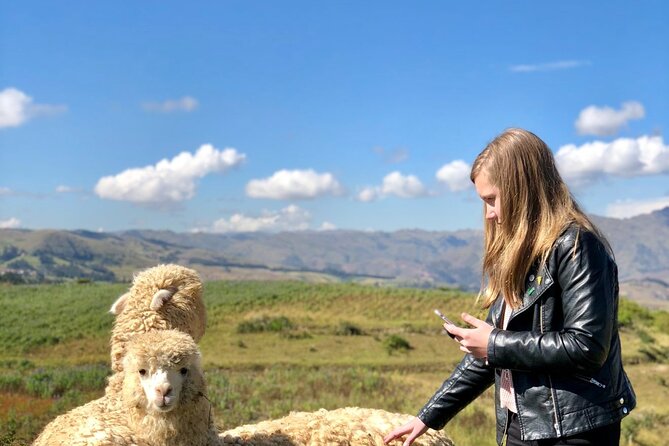 Half Day Acclimatization Hike With Llamas and Alpacas in Cusco - Good To Know