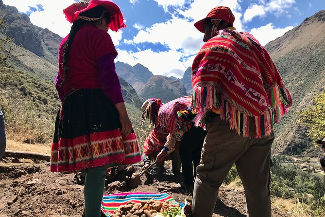 Half Day Andean Llama Trek in the Sacred Valley - Meeting and Pickup