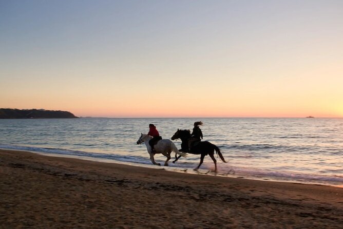 Half-Day Beach Horse Back Riding in Puerto Plata - Tour Details and Highlights