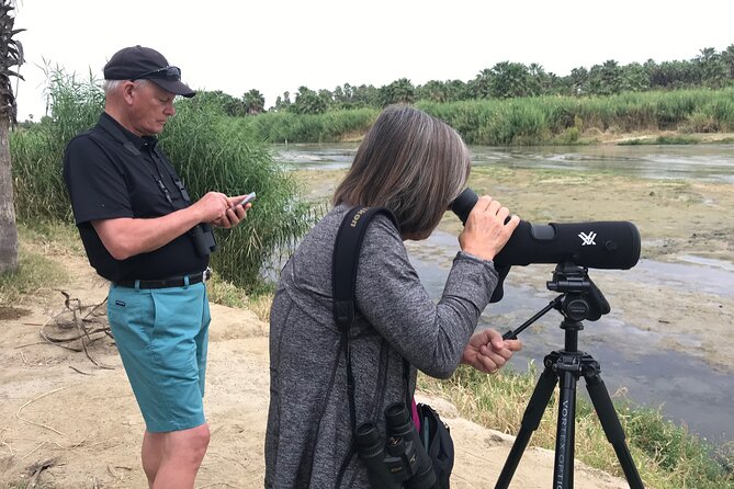 Half-Day Bird Watching Endemics Activity in Los Cabos - Good To Know