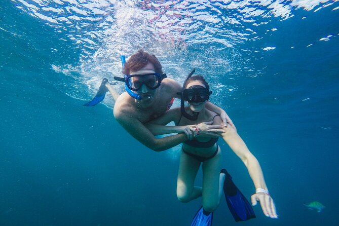 Half Day Cabo Snorkel Adventure With Lunch and Open Bar - Good To Know