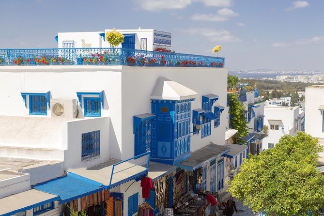 Half-Day Carthage, Sidi Bou Said Private Tour From Tunis or Hammamet - Good To Know