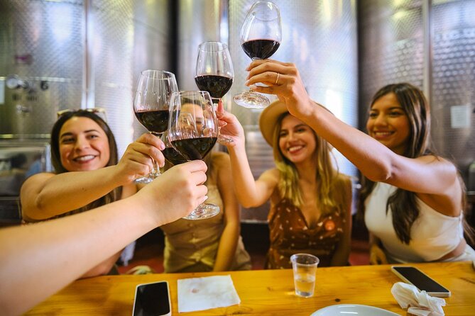 Half Day Chianti Vineyard Escape From Florence With Wine Tastings