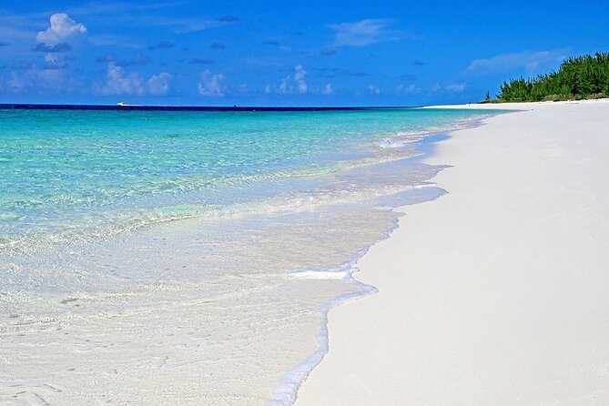 24 Best Snorkeling Experiences In New Providence Island