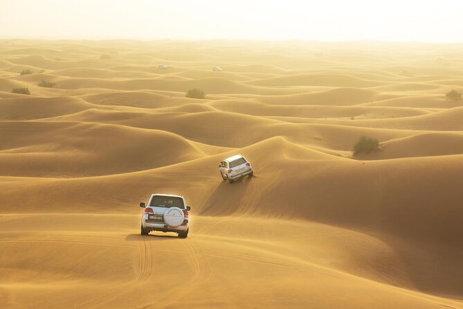 Half-Day Dubai Dunes Desert Safari Experience