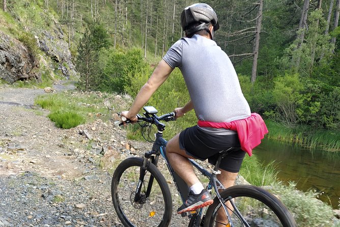 Half-Day E-Mountain Bike Adventure at Aoos Lake Metsovo
