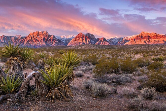 Half-Day Electric Bike Tour of Red Rock Canyon - Good To Know