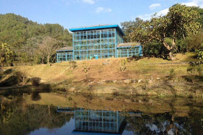 Half Day Godawari to Pulchowki Nature Hike - Pulchowki Peak