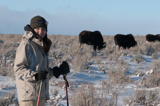 Half Day Grand Teton Wildlife Safari Tour