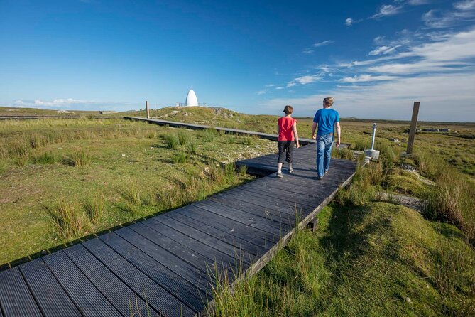 Half-Day Guided Derrygimlagh Bog Looped Walk in Connemara - Good To Know
