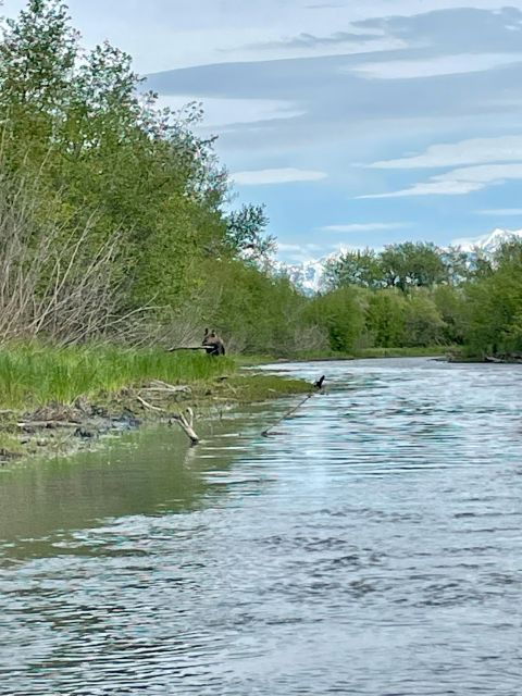 Half-Day Guided Paddle Tour on Knik River - Good To Know