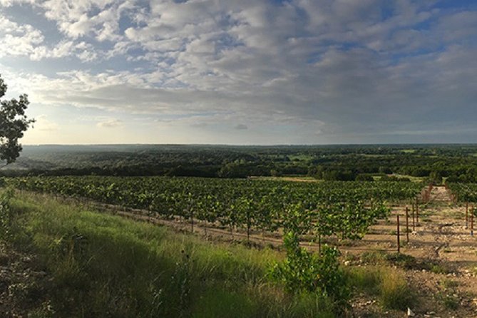 Half-Day Guided Tour of North Texas Wineries and Vineyards With Wine Tastings - Good To Know
