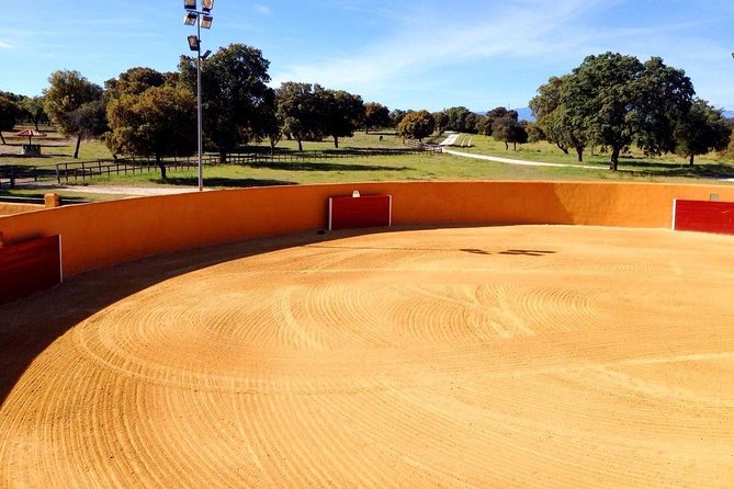 Half-Day Guided Tour to a Bull Farm in Madrid - Tour Details