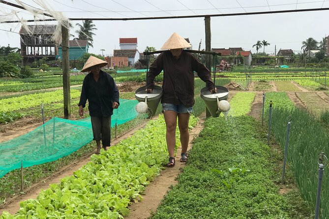 Half-Day Hoi An Countryside and Villages Tour by Bike - Tour Details
