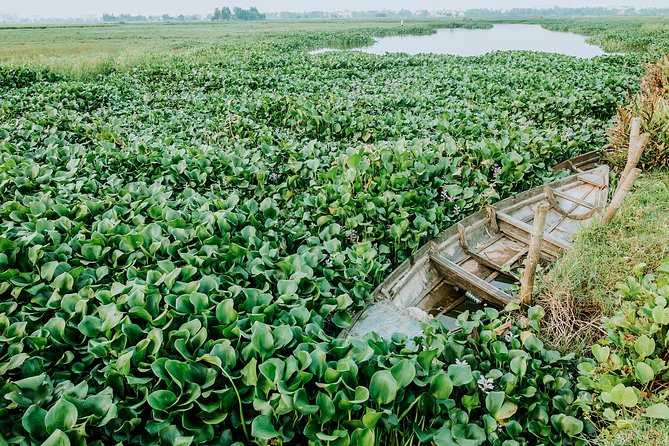 Half-day HOI AN SUNRISE OR SUNSET PHOTO TOUR