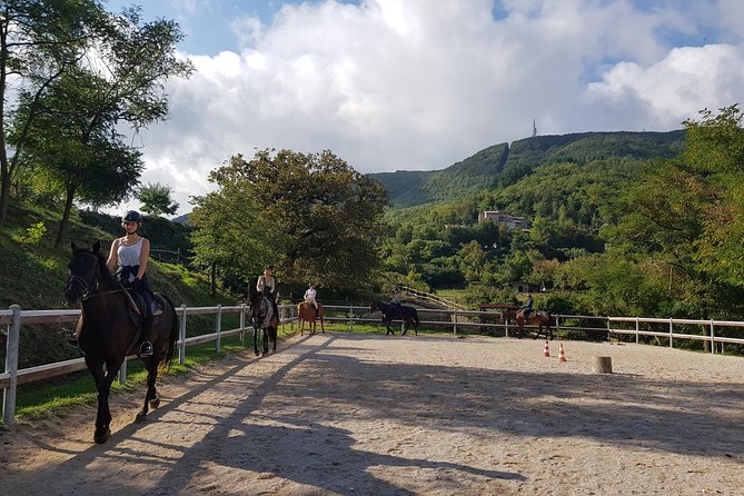 Half-Day Horseback Ride in Tuscany for Beginner Riders - Good To Know
