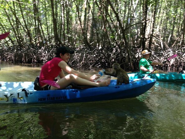 Half Day Kayaking Experience In Ao Thalane