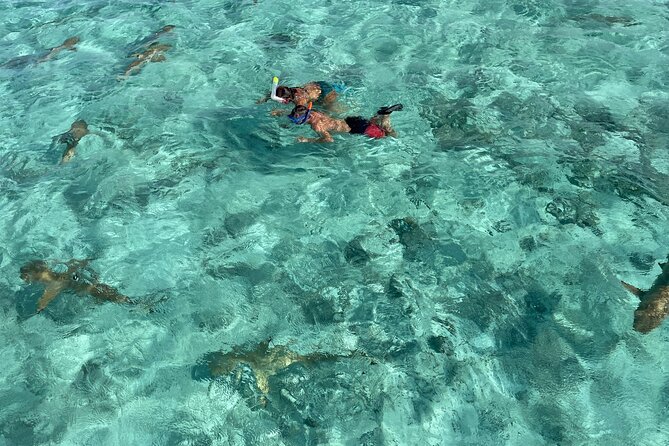 Half Day Lagoon Safari Tour in Bora Bora- Shared Tour