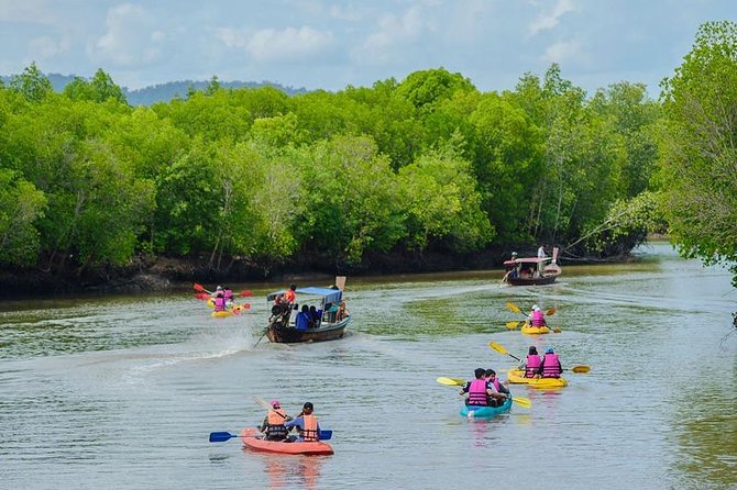 Half Day Mangrove Forest Kayaking Tour From Koh Lanta - Good To Know