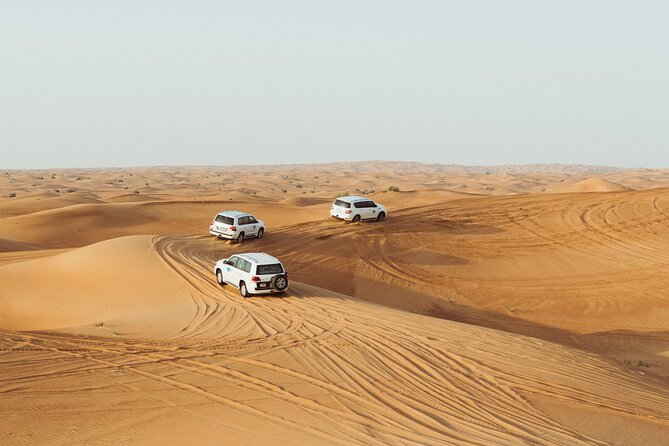 Half-Day Morning Desert Safari in Abu Dhabi - Good To Know