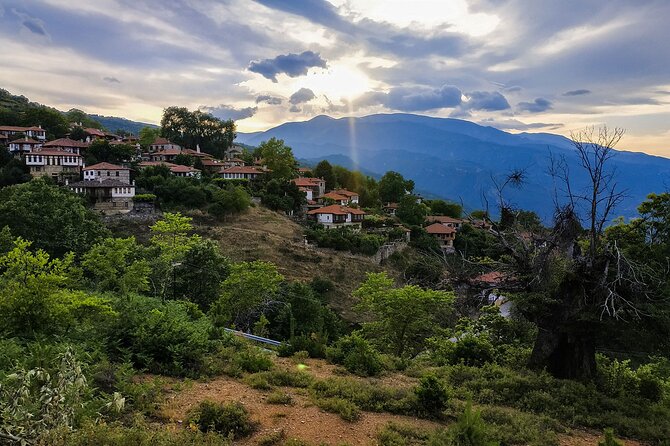 Half-day Mount Olympus Sunset Tour