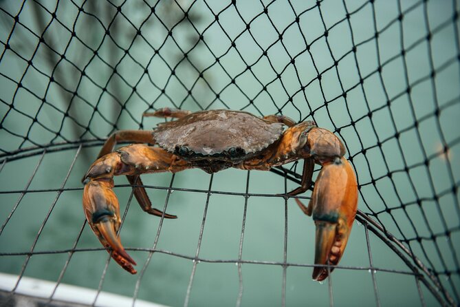 Half-Day Mud Crabbing Experience in Broome - Good To Know