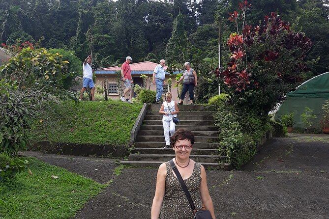 Half-Day Nature and Panorama Tour in Martinique