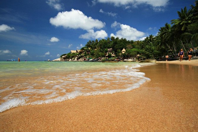 Half-Day Pig Island (Koh Madsum) and Koh Tan Speedboat Tour - Good To Know