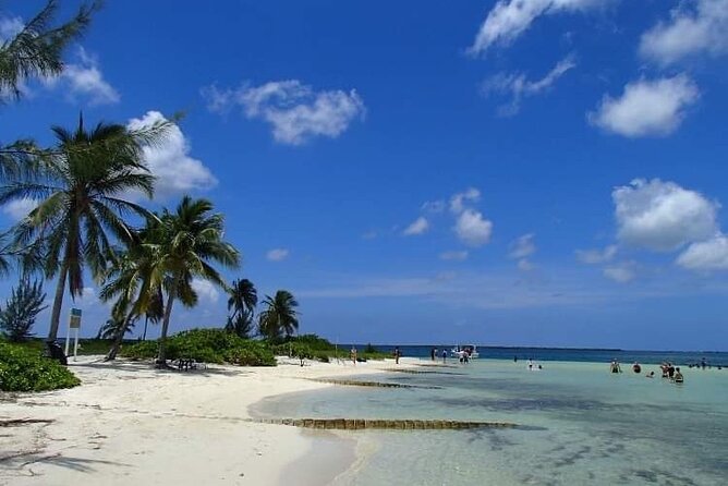 11 Best Boat Tours And Cruises In Grand Cayman