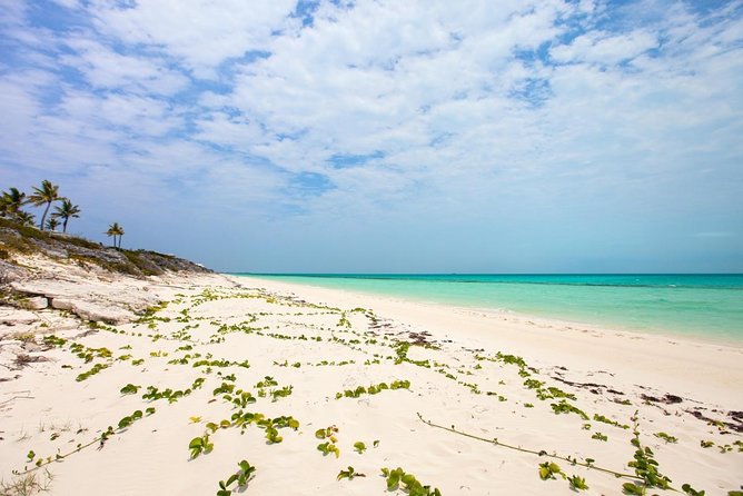 Half-Day Private Charter in Turks & Caicos  - Providenciales - Good To Know