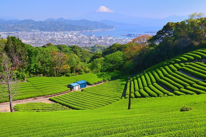 Half Day Private Sightseeing Tour Around Shimizu Port
