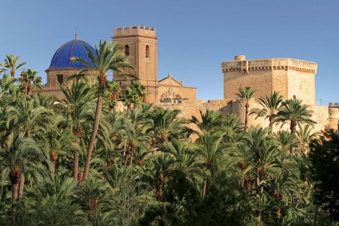 Half Day Private Tour in Elche and Santa Pola - Authenticity and Verification of Reviews