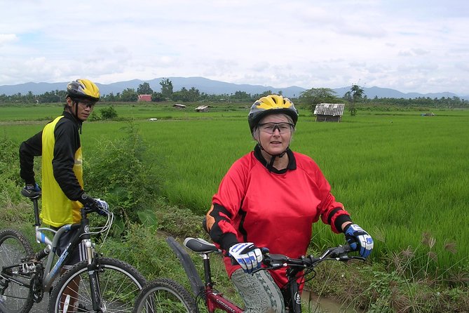 Half Day Rice Field Visions Guided Tour From Chiang Mai