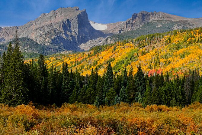 Half-Day Rocky Mountain National Park "Mountains to Sky Tour" - RMNPhotographer - Good To Know
