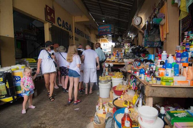 Half-day Safari and Blue Cave - Small Groups