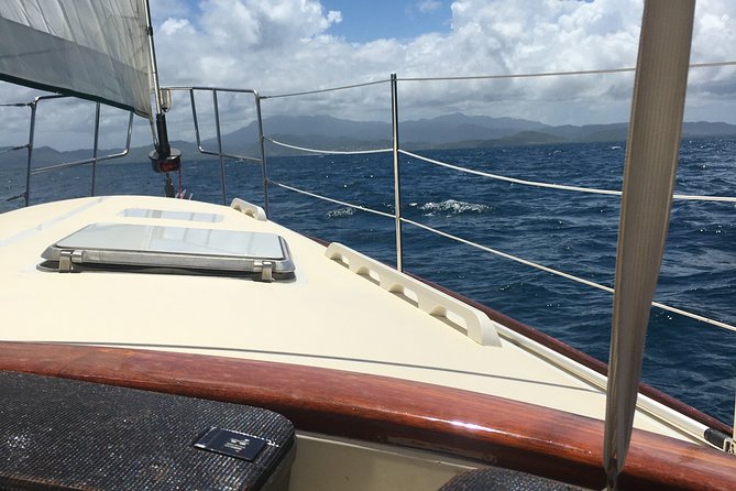 Half Day Sail and Snorkel With the Turtles