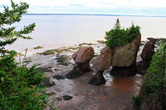 Half-Day Small-Group Tour of Annapolis Valley - Good To Know