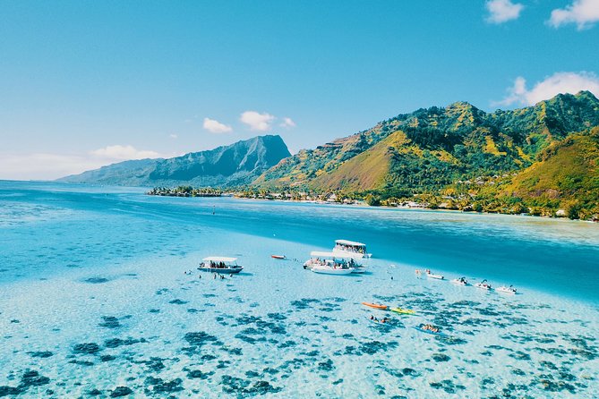Half Day Snorkeling in Moorea - Good To Know