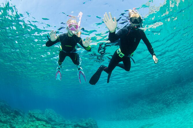 Half Day Snorkelling Course - No Previous Experience Needed! - Meeting and Pickup Information