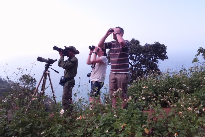 Half-Day Son Tra Wildlife Spotting Tour From Da Nang - Native Species to Spot