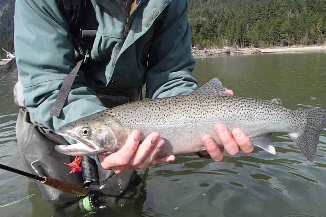 Half Day Spin Fishing Tour