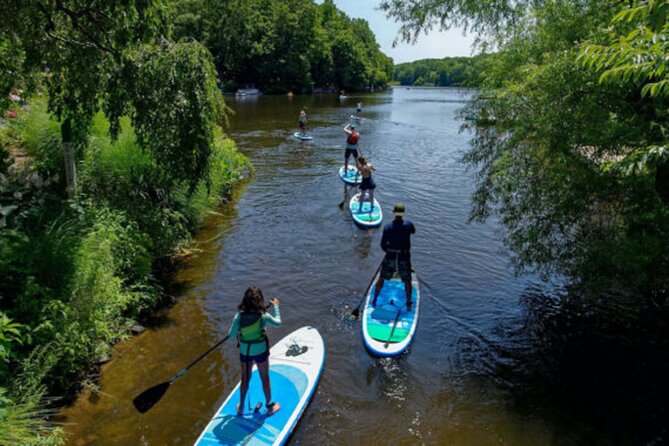 Half-day Stand Up Paddle Tour of Stockholm. - Good To Know