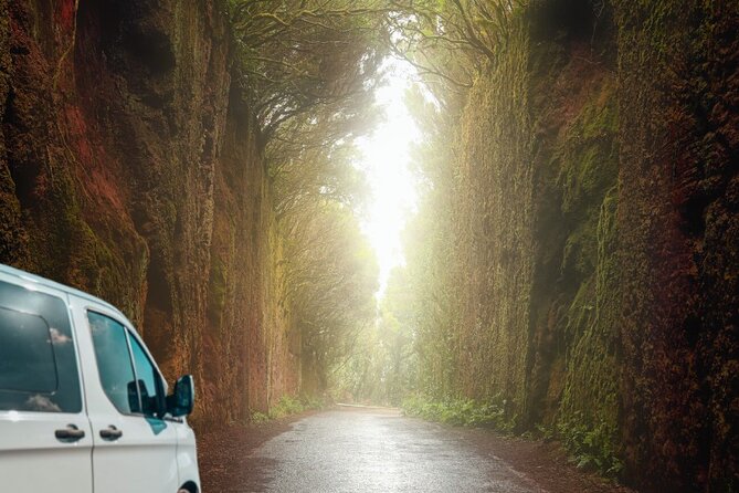 Half Day Tour Discovering Anaga Tenerife